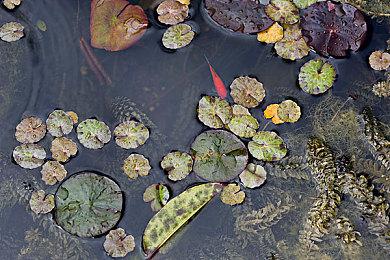 《辐射S.P.E.C.I.A.L.选集》4＆11推出 包括所有游戏